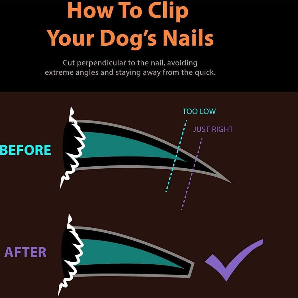 Pet Nail Clipper (Nail File included)