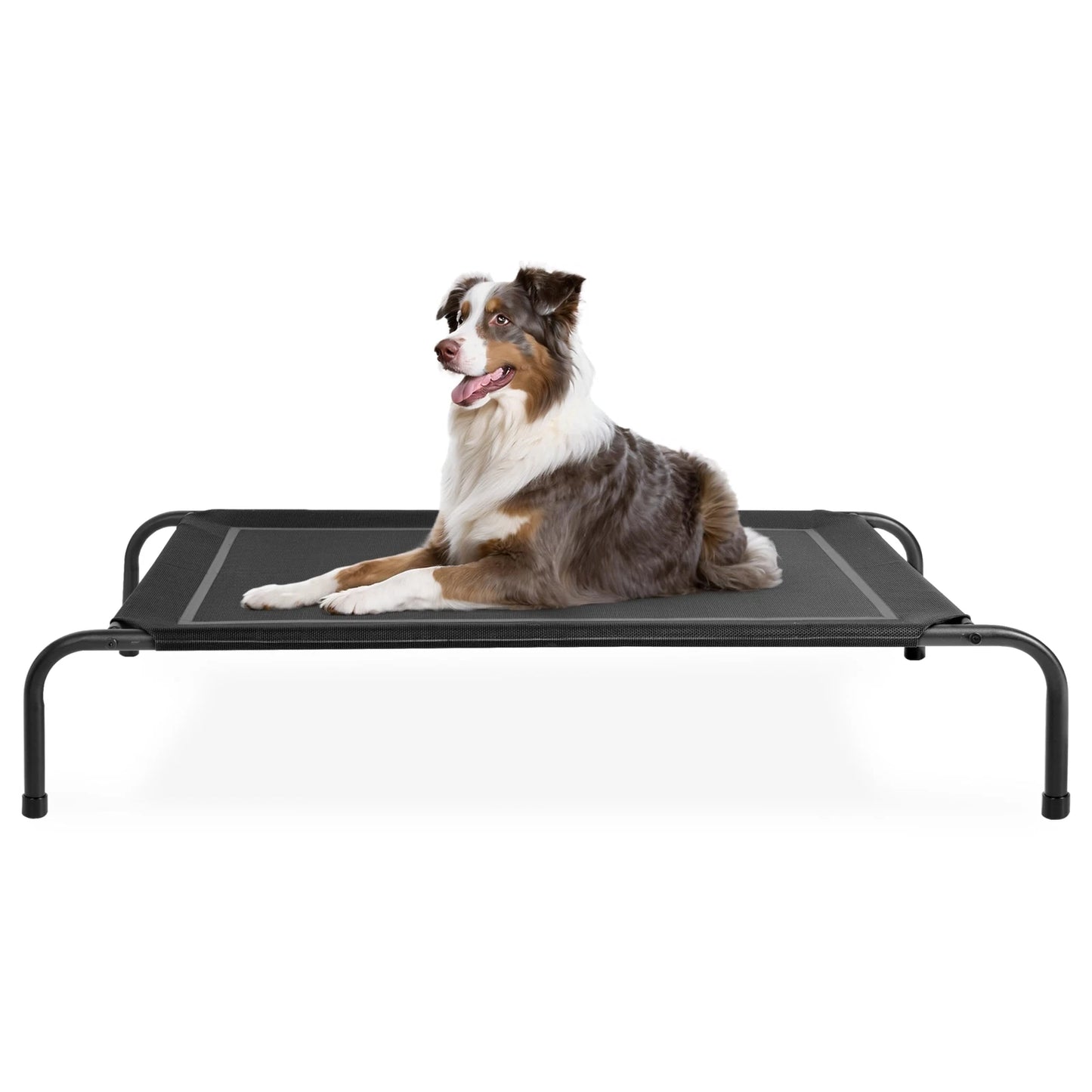 Cooling Elevated Dog Bed （Large for up to 40kg）